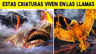 Increibles animales que viven dentro de VOLCANES