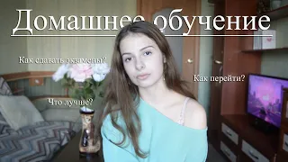 ДОМАШНЕЕ ОБУЧЕНИЕ // МОЙ ОПЫТ