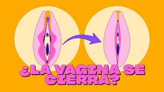 ¿Se estrecha la vagina si no tienes sexo?