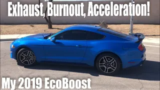 TUNED 2019 Mustang EcoBoost Review + Drive | Best sports car under $30k?