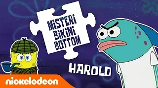 Misteri-Misteri Bikini Bottom | Ep. 3 | Apakah Harold sebuah Bom Waktu yang berdetak? 💣