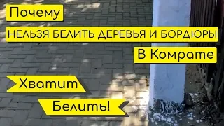 Почему нельзя белить деревья и бордюры в Комрате? | baboglо бабогло