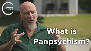 Stuart Hameroff - What is Panpsychism?