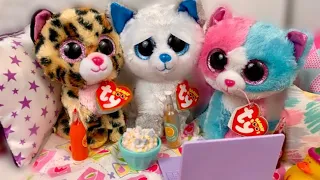 Beanie Boos: The Sleepover! (skit)