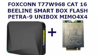 Petra 9 MIMO 4X4+Beeline SmartBox Flash +Foxconn T77W968 +Mesh система с Xiaomi 3P Pro+ Keenetic 4G.