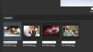 Add keywords and titles for your Adobe Stock image submissions using Adobe Bridge.