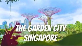 VLOG 24 Visiting Singapore for the First Time, (The garden city)