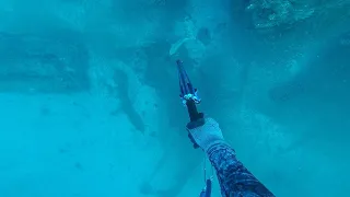 Spearfishing Western Australia North with unleashed_spearfishing
