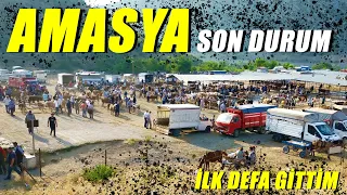 Amasya Canlı Pazarı Son Durum / Piyasa Nasıl ?