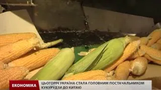 Україна збільшила експорт продуктів до Китаю в обхід Росії