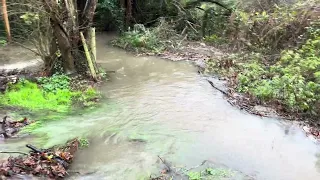 Horley sewage tanks overtopping 2024