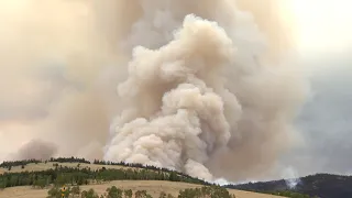 Colorado wildfires by the numbers