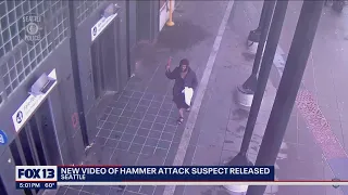 Police release video of light rail hammer attack suspect