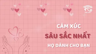 Tarot mối quan hệ | Cảm xúc SÂU SẮC NHẤT họ dành cho bạn | Chris Tarot