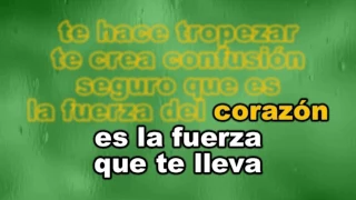 Alejandro Sanz - La Fuerza del Corazón karaoke letra lyric