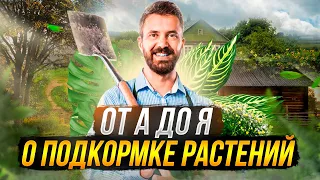 Для чего нужна подкормка растений? Какие бывают удобрения и как их вносить. Нюансы и советы.