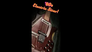 1960s Danelectro Vincent Bell Electric Sitar | CME Shorts