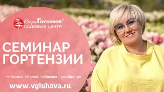 Гортензии - семинар