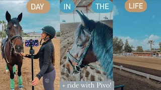 EQUESTRIAN day in the life | riding with my PIVO! + discount code | Maite Rae