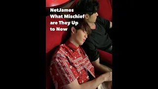 NetJames  - Net and James, Being Net and James + Accidental Kiss? 😚