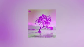 sakuraburst ft. former hero - mother tree (emelka remix)