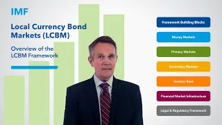 OVERVIEW OF THE LCBM FRAMEWORK