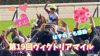 【旅するインコが】 第19回 ヴィクトリアマイル    勝利した馬が大喜び　「馬って喜びをこんなに表現できるの!!」現地映像♪ THE VICTORIA MILE  TOKYO RACECOURSE