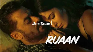 Ruaan Song | Lyrics | Tiger 3 | Salman Khan, Katrina Kaif | Pritam | Arijit Singh | Irshad Kamil