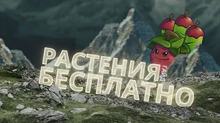 КАК ВЗЛОМАТЬ PvZ2?|НА ВСЕ РАСТЕНИЯ