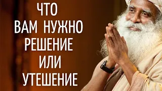 Садхгуру — Так что вам нужно? Решение или утешение?