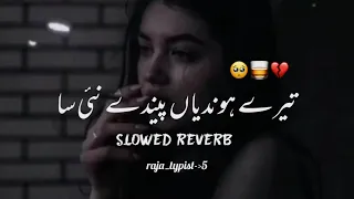 Taryia hondiya pinda na sii Saraiki Slowed Reverb song lyrics