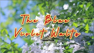 The Blue Violet Waltz ( Instrumental )