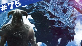 TEST EN CARTON #75 - The Elder Scrolls V : Skyrim