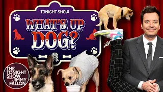 What's Up Dog?: CPR, Opening Cups and Acrobatic Tricks | The Tonight Show Starring Jimmy Fallon