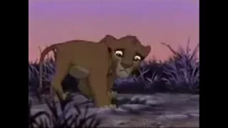 lion king numb