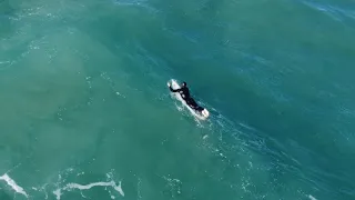 Surfing Big Sur