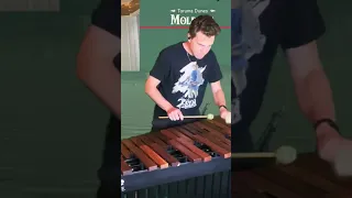 Molduga Battle from #zelda #botw and #totk on #marimba