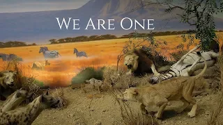 We Are One (From “The Lion King II: Simba’s Pride”) (Acoustic Version) (Lyric Video)