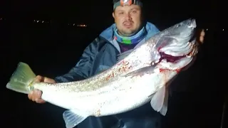 Short 03 - Catching BIG kabeljou in  Langebaan lagoon | Boat Fishing KOB