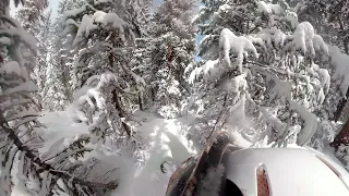 EPIC powder day!! Snowboarding Tight Trees at Keystone