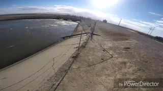 California aqueduct cat fish