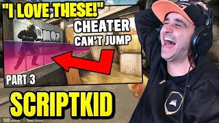 Summit1g Reacts: CSGO Cheaters trolled by fake cheat software 3 by ScriptKid