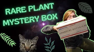 BOTANICAZ MYSTERY BOX UNBOXING | RARE PLANT HAUL NOVEMBER 2021