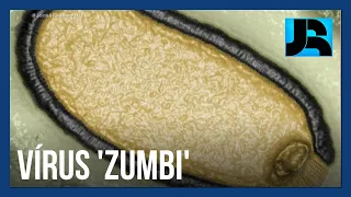 Cientistas revivem vírus ‘zumbi’ congelado há mais de 48 mil anos na Sibéria