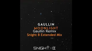 GAULLIN - MOONLIGHT (SNIGHTB EXTENDED)