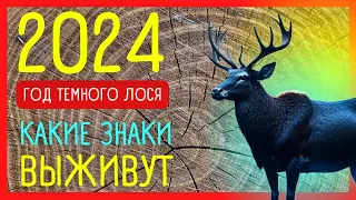 ПРОГНОЗ 2024 год. ТЕМНЫЙ ЛОСЬ по славянскому календарю | Приметы Советы