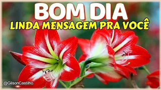 Hoje é Dia de Recomeçar I Mensagem de Bom dia