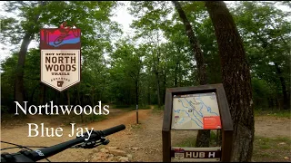 Blue Jay Jump Trail | Northwoods Bike Trails Hot Springs