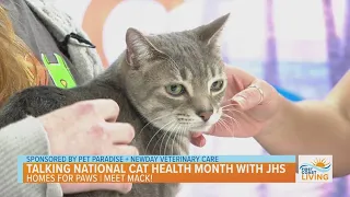 National Cat Health Month. Meet Mack!