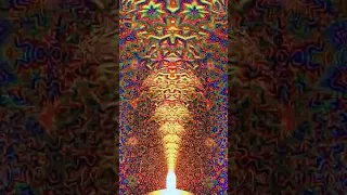 DMT эффект. Канада, выставка